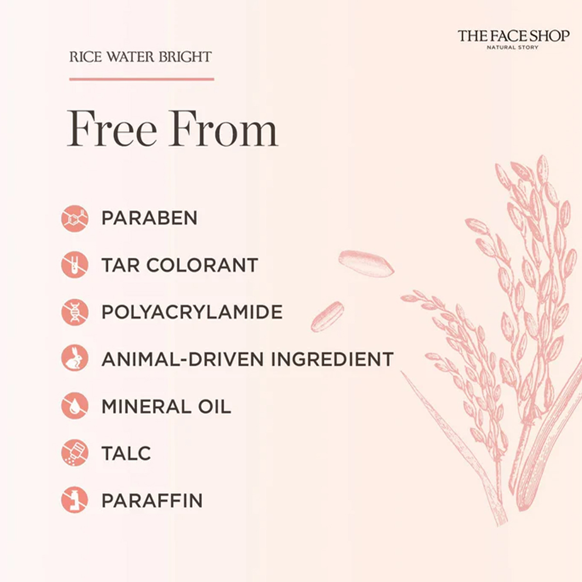 THE FACE SHOP RICE WATER BRIGH - High Luxury Skincare reseña y precio